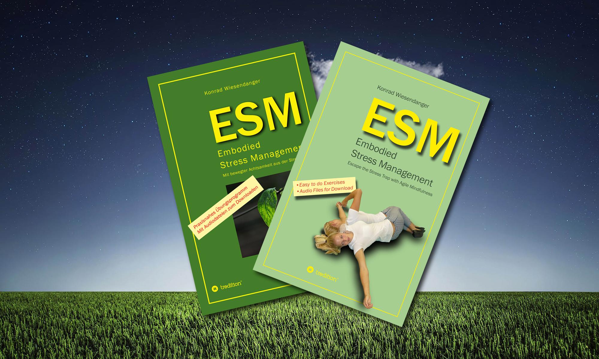 Titelbild ESM-Embodied Stress Management